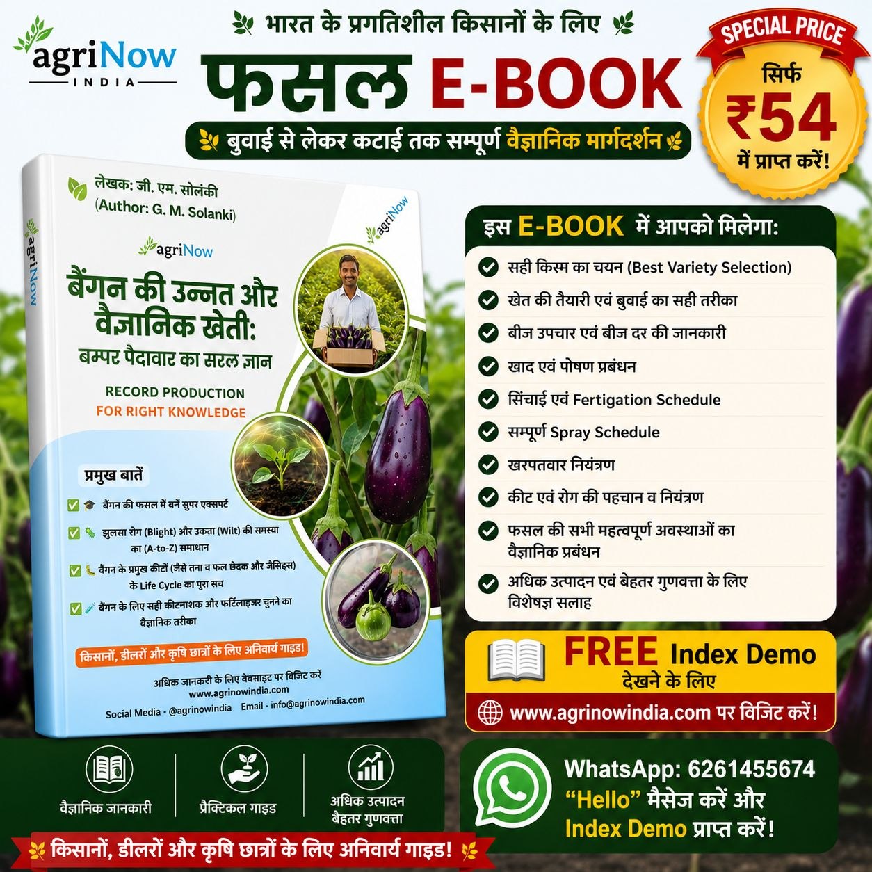 Brinjal