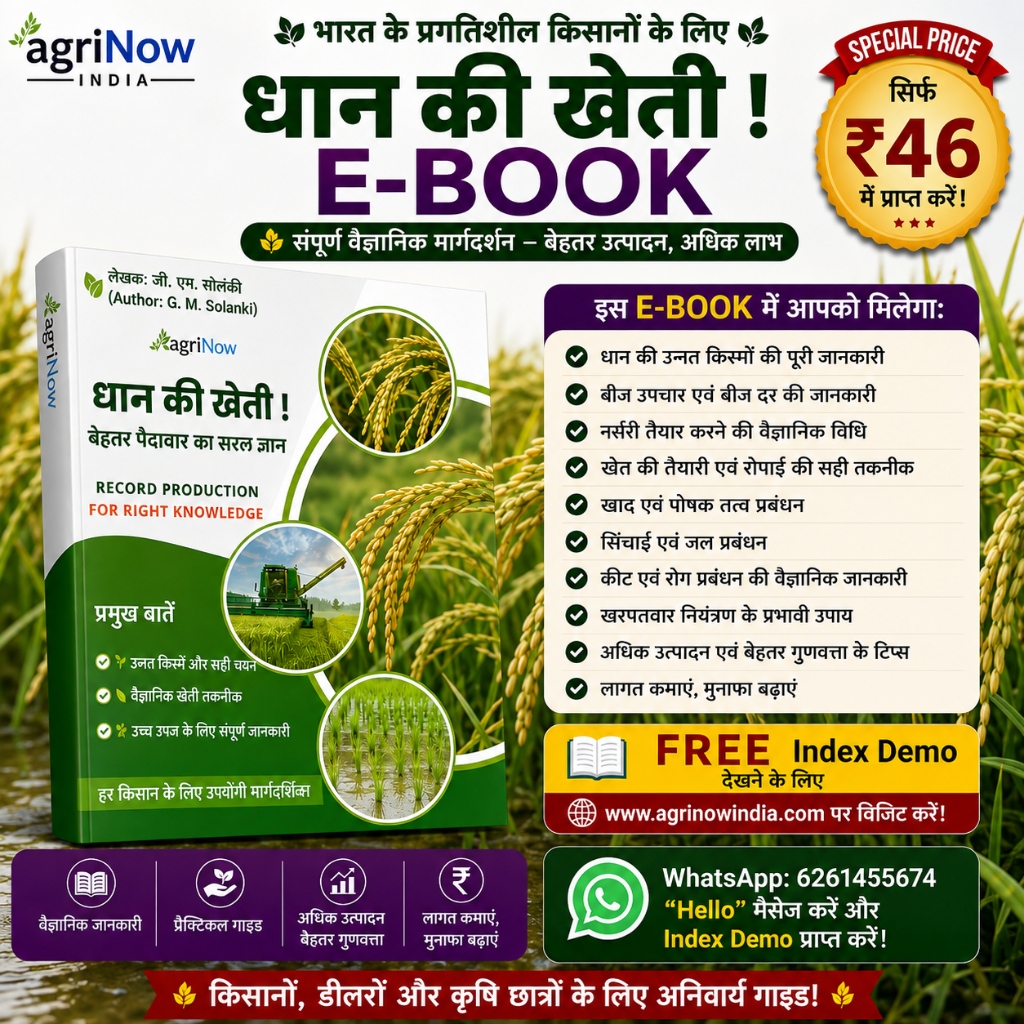 Rice Smart Farming eBook